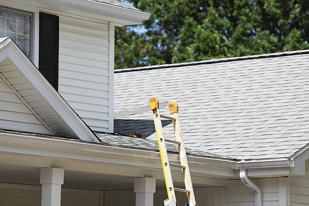 Best Fiber Cement Siding Installation  in Jekyll Island, GA